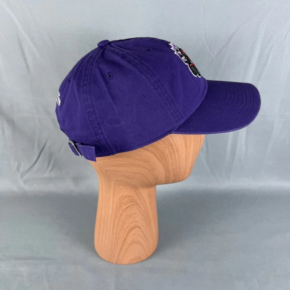 Toronto Raptors Snapback Cap Mens One Size Purple Mitchell & Ness NBA Basketball